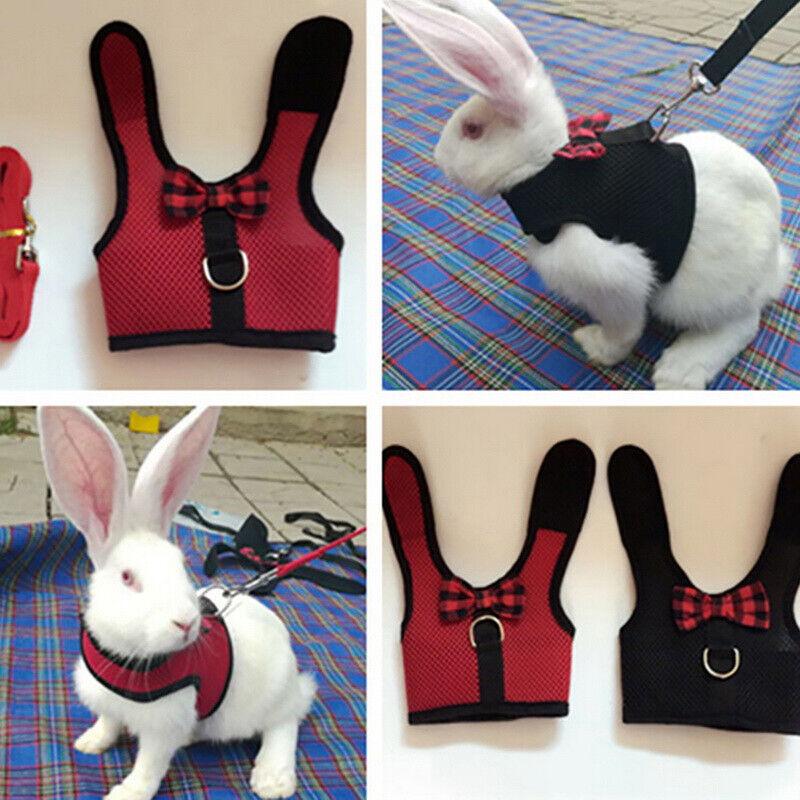 Rabbit Vest Harness Leash Lead Small Animal Pet Mesh Hamster Bunny Traction Rope