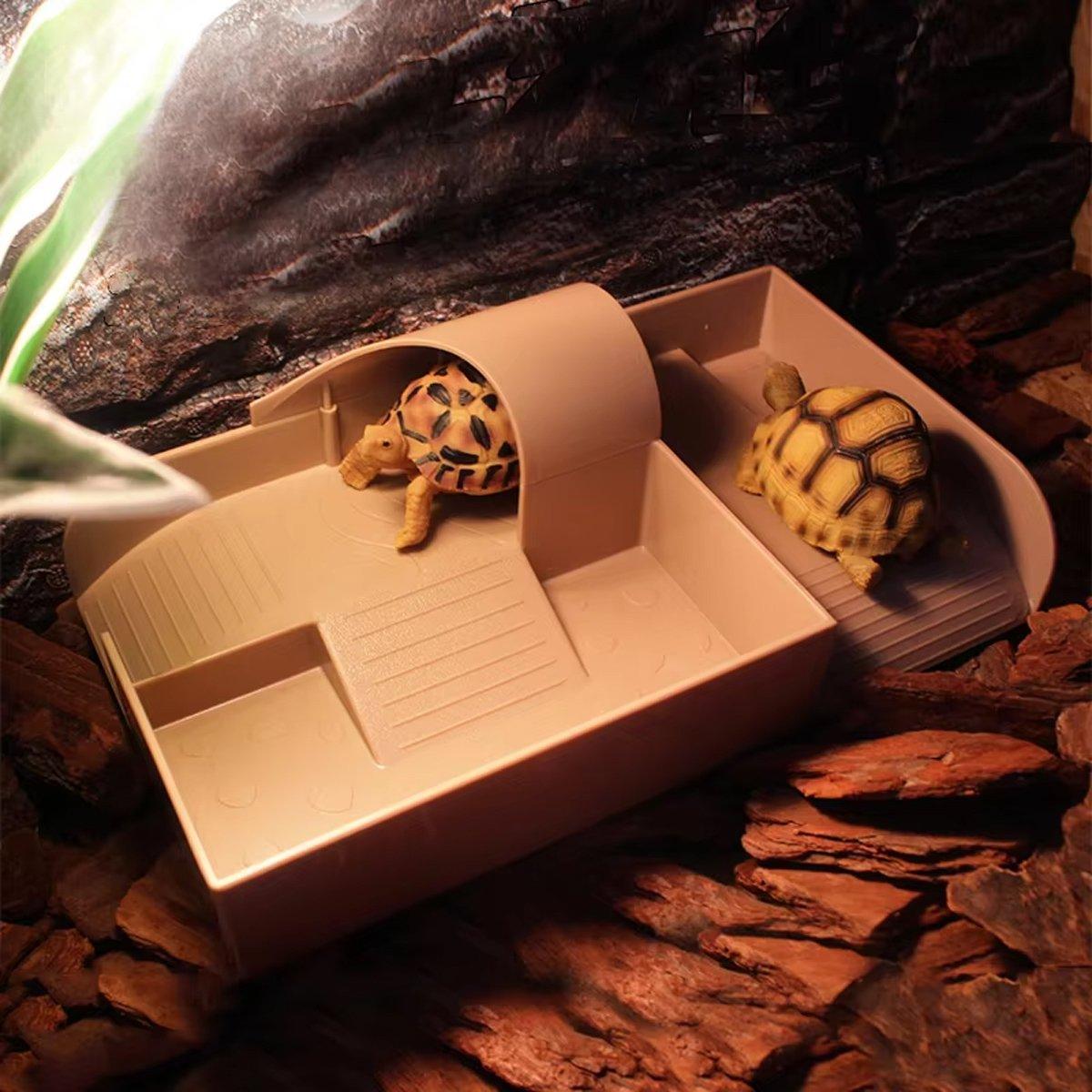 Tortoise Habitat Climbing Platform Durable & Multi-Functional Design