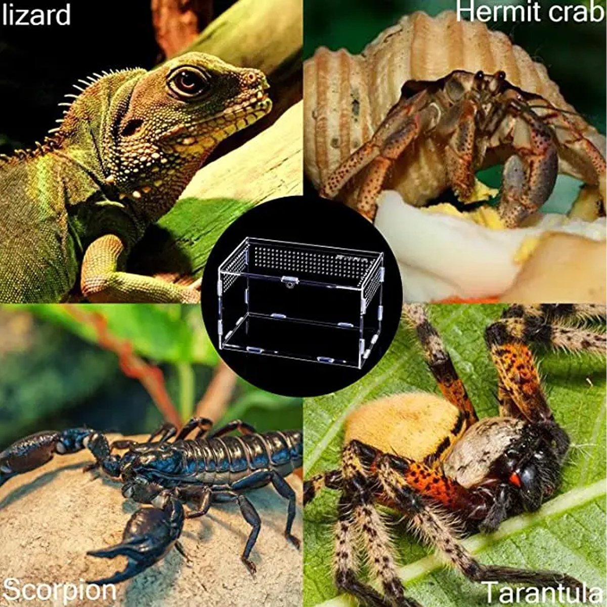 Clear Slide Lid Pet Box Reptile Breeding Habitat Reptile Tank