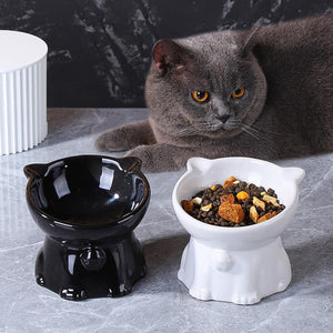 Tilted Ceramic Cat Bowl Ergonomic Design