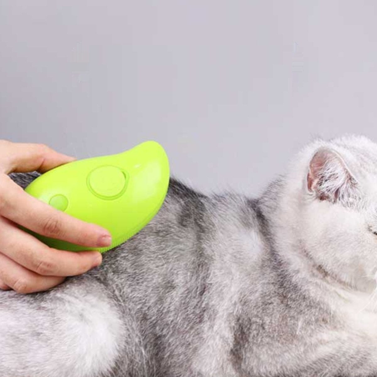 3-in-1 Steamy Pet Brush - Electric Spray Brush for Cats and Dogs