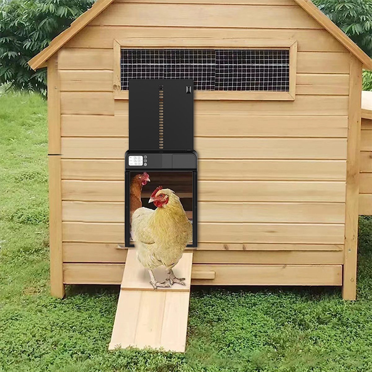 Weatherproof Automatic Stainless Steel Chicken Coop Door