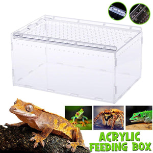 Clear Slide Lid Pet Box Reptile Breeding Habitat Reptile Tank