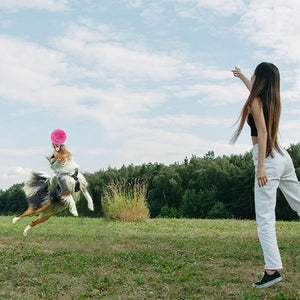 Interactive Pet Magic Roller Ball Toy Keeps Your Pets Engaged