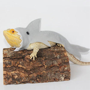 Lizard Shark Clothing New Cross-border Small Pet Supplies Felt Cloth Lizard