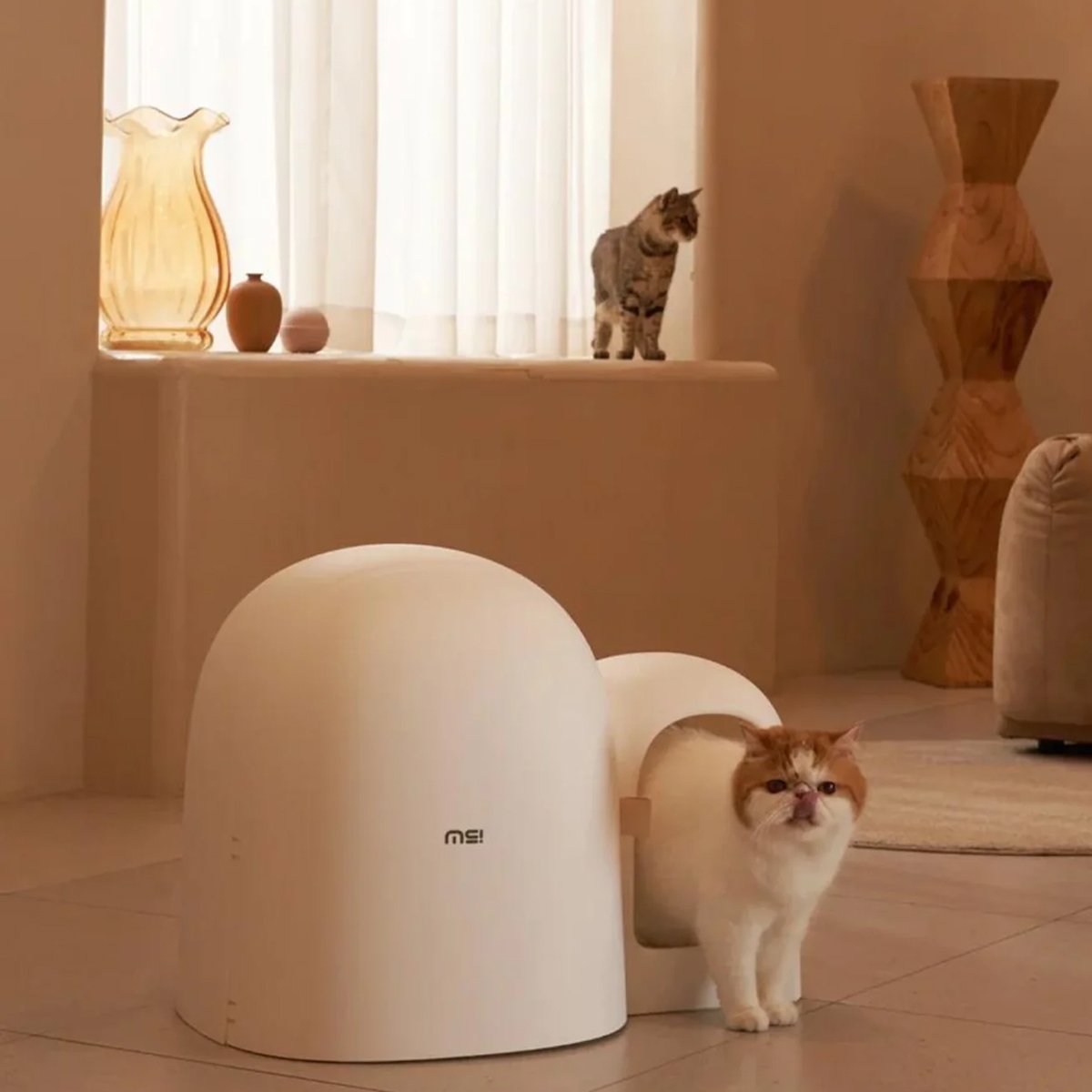 Kitty Litter Box Cat Litter Box MAX Spacious & Eco-Friendly