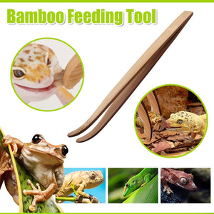 Feeding Tool Bamboo 16.5cm Pet Reptile Tortoise Lizard Frog Spider