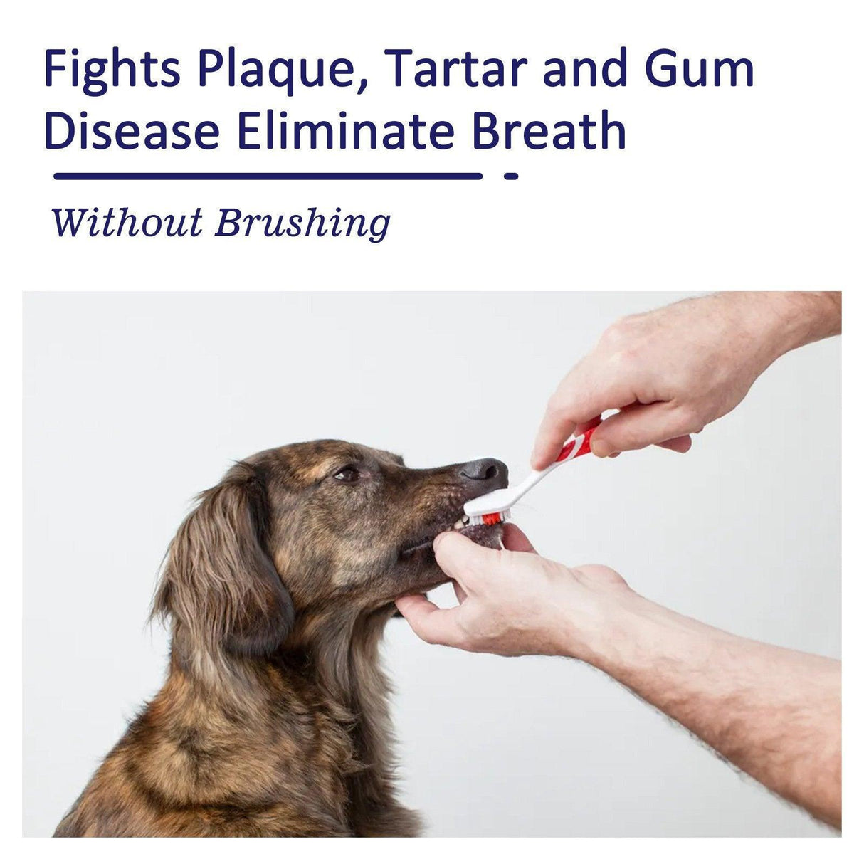 Enzyme-Based Pet Toothpaste for Fresh Breath & Healthy Gums