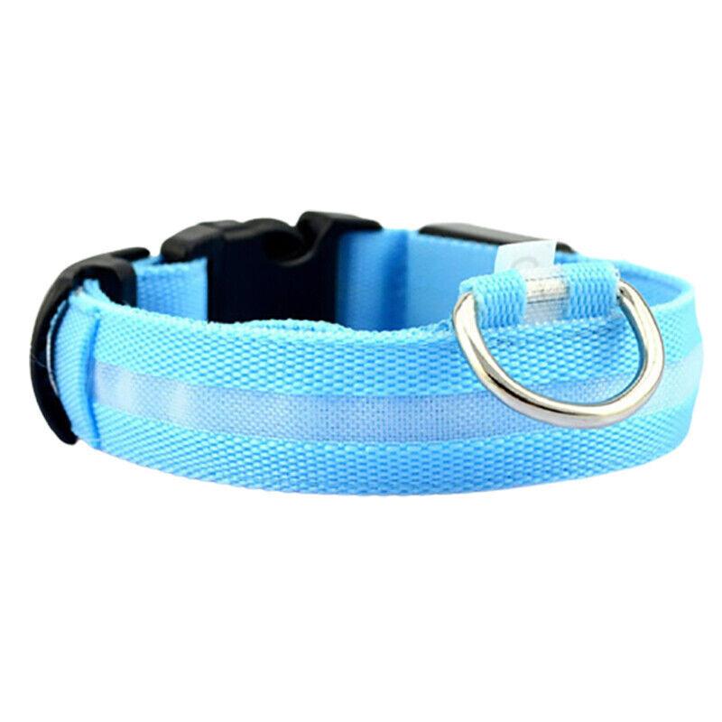 USB Rechargeable Light Up Dog Collar Glow in the Dark Safety for Night Walks