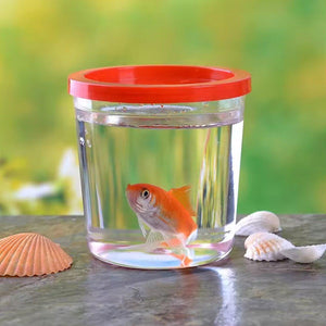 Mini Hand-held Padded Betta Cup Batch Jellyfish Cup Plastic Small Fish Tank