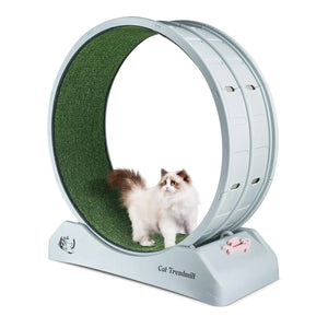 Premium Cat Treadmill Wheel Safe and Silent Cat Exercise Wheel