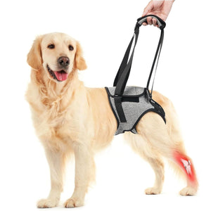 Dog Support Harness for Back Legs  Adjustable Lift Handle Portable (Grey)