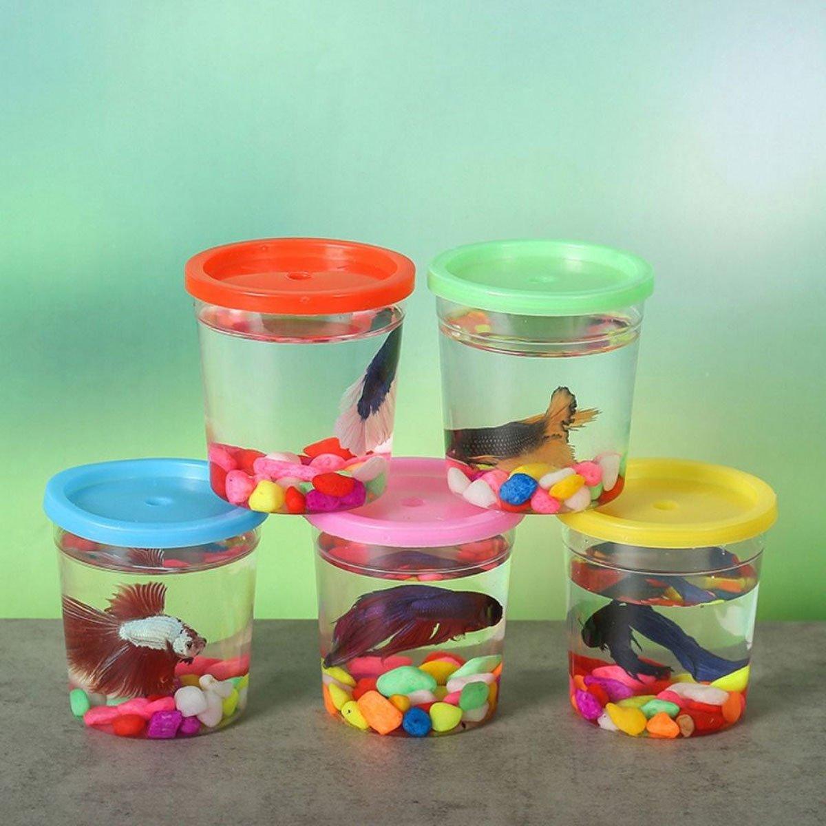 Mini Hand-held Padded Betta Cup Batch Jellyfish Cup Plastic Small Fish Tank