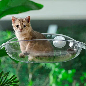 Cat Nest Cat Hammock Space Capsule Cat Bed Window Cat Sunrise Hanging Bed Glass Hanging Basket Transparent Pet Bed