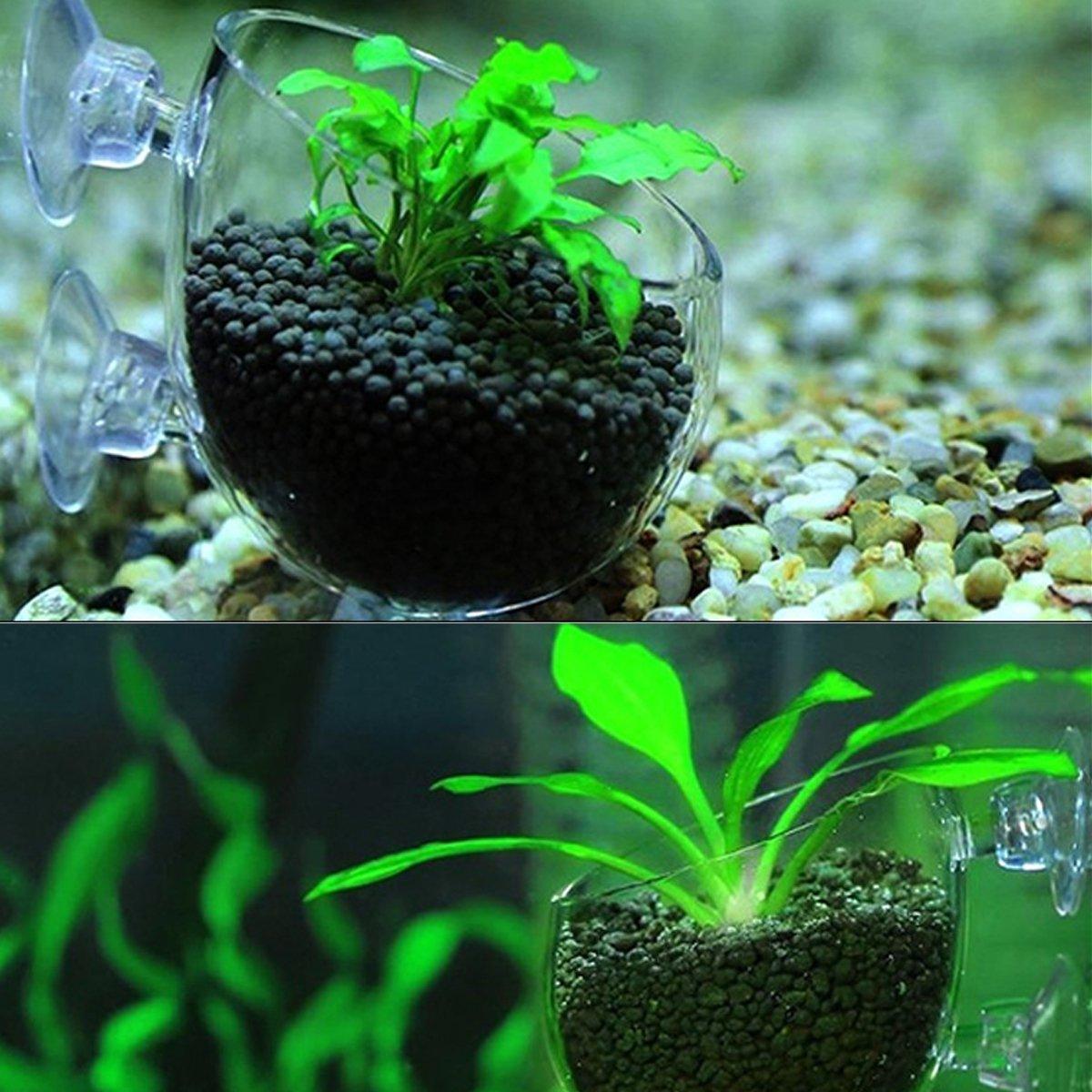 Aquarium Plant Cup for Breeding and Aquascaping Glass Water Plant Holder