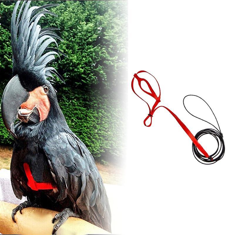 Pet Parrot Bird Harness & Lead Leash