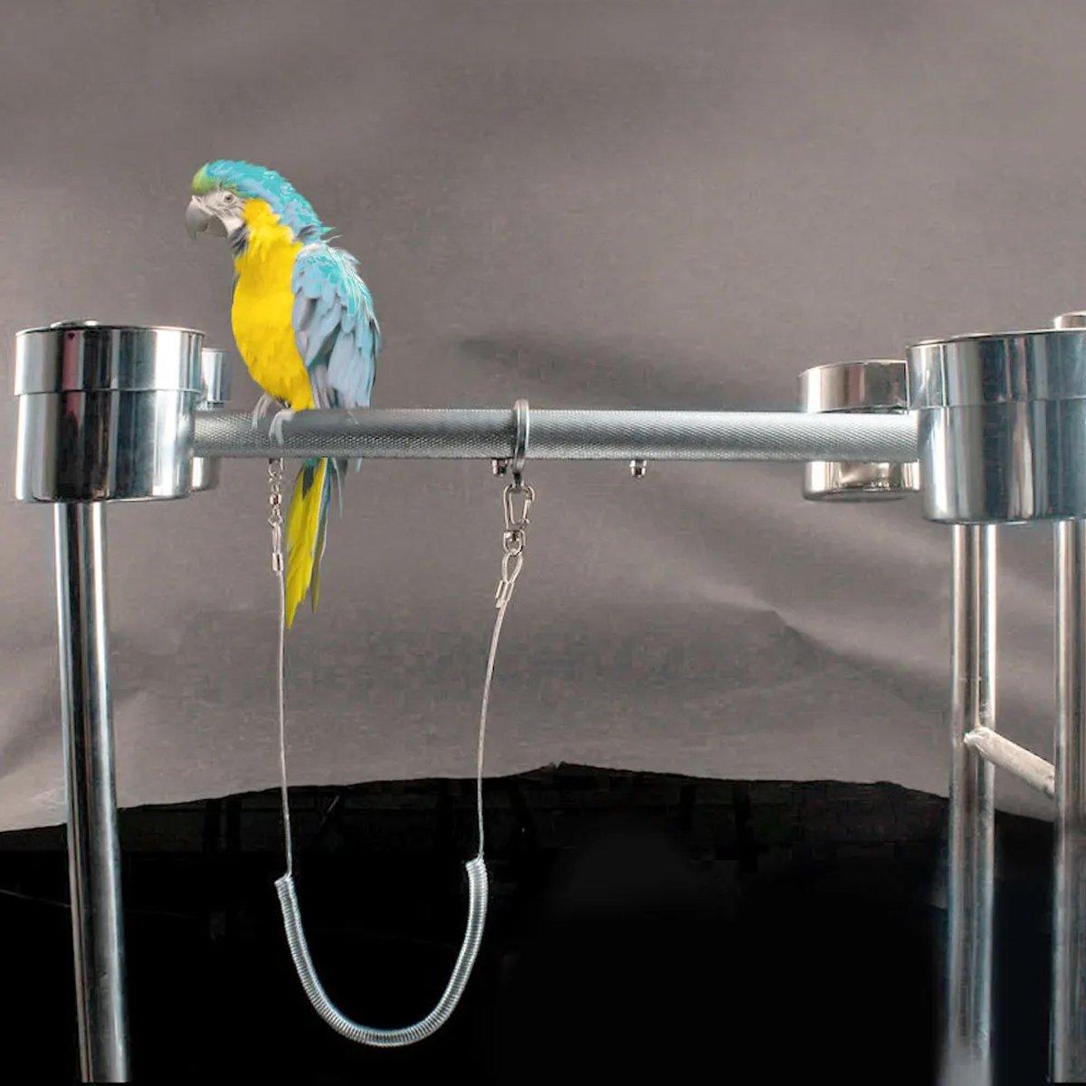 Parrot Release Rope Anklet with Alloy Fasteners Supplies Bird Lead