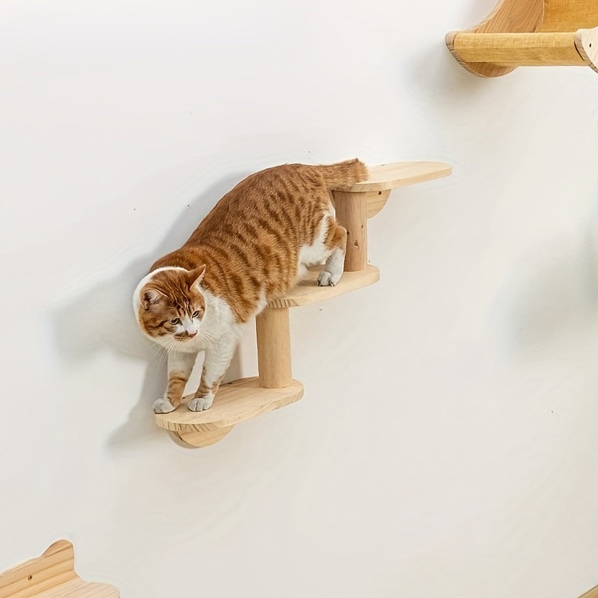 Solid Wood Wall-Mounted Cat Climbing Tree Space-Saving Cat Playground