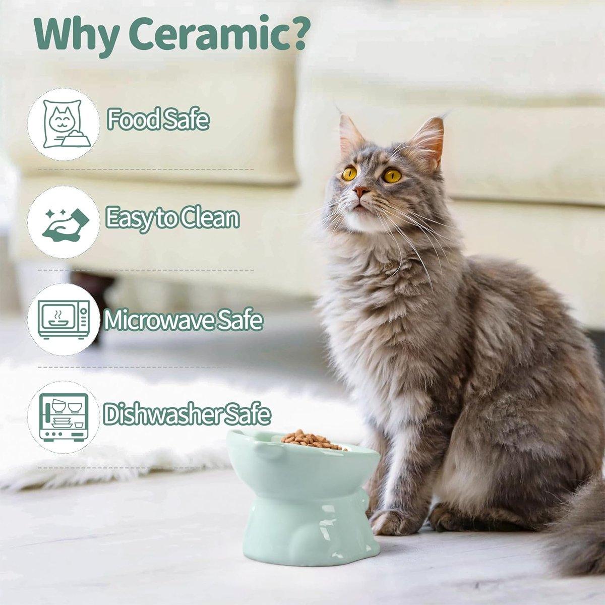 Tilted Ceramic Cat Bowl Ergonomic Design