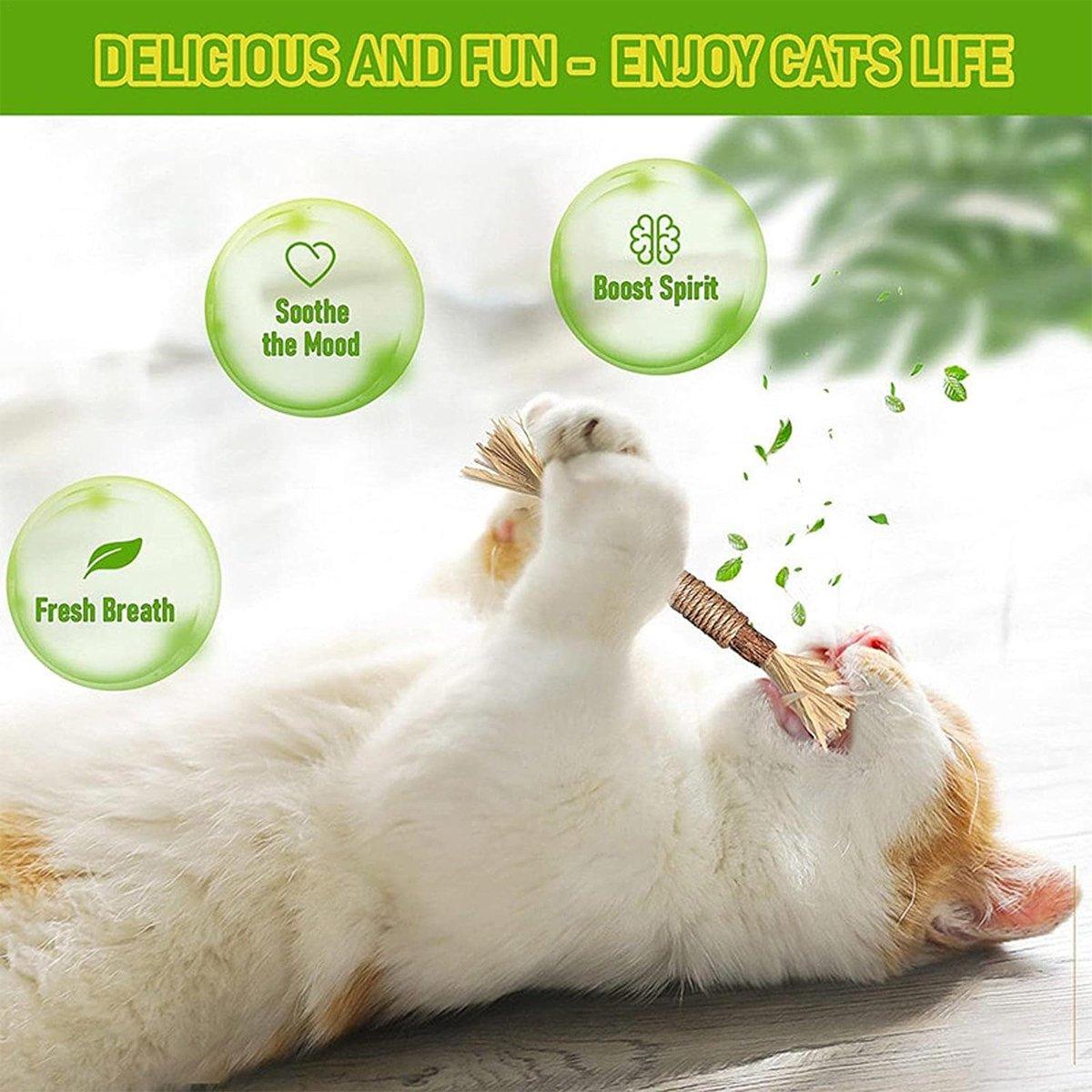 Cat Dental Health Silvervine Sticks Natural Chew Toy