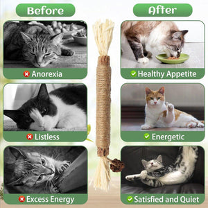 Cat Dental Health Silvervine Sticks Natural Chew Toy