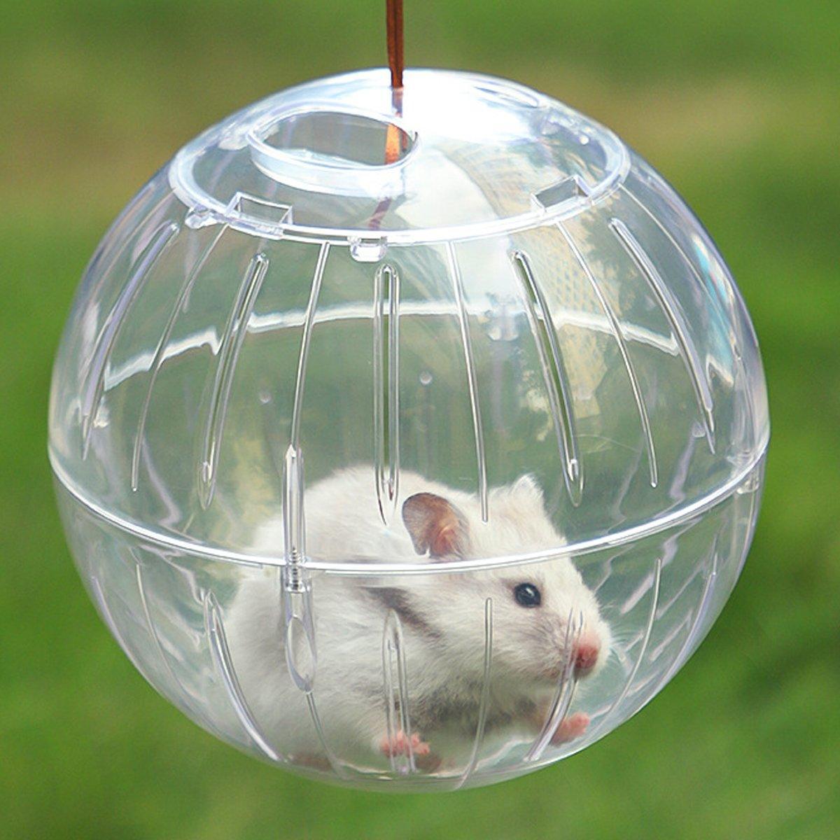 Hamster Running Ball Wheel Exercise Roller Toy Supplies Outside Cage Activity