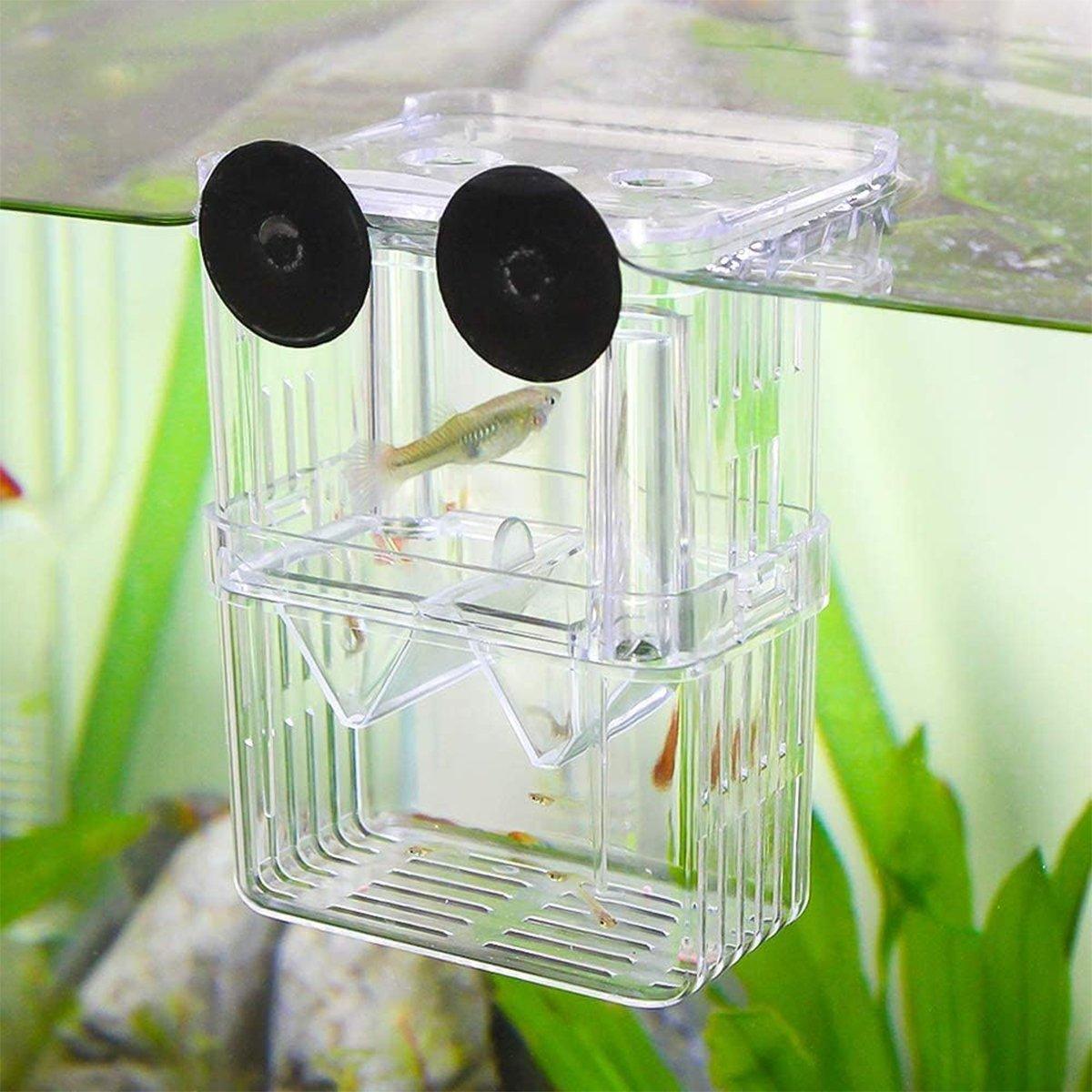 Transparent Guppy Breeding Box for Aquarium Fish Breeding and Isolation