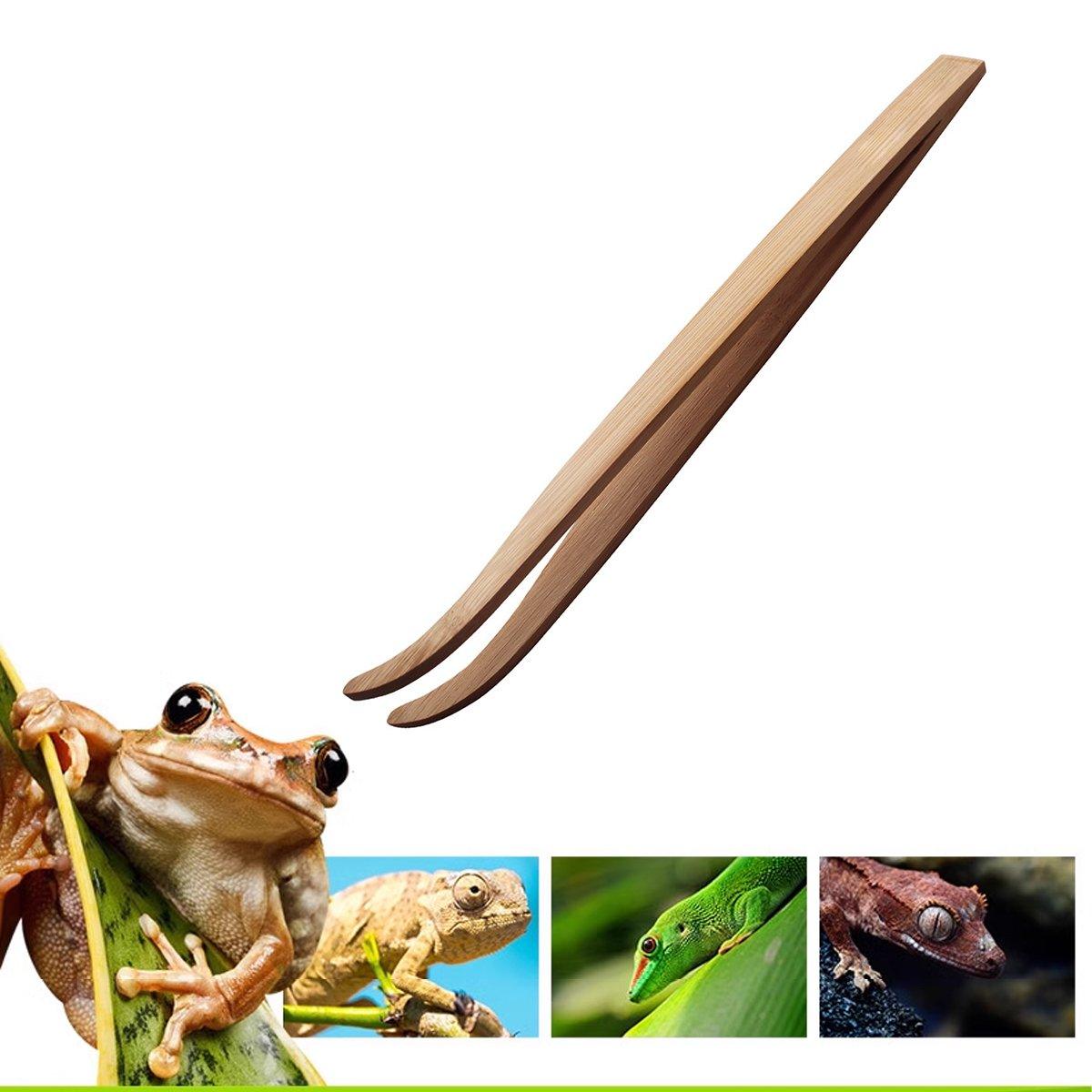 Feeding Tool Bamboo 16.5cm Pet Reptile Tortoise Lizard Frog Spider