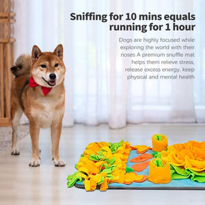 Interactive Pet Sniff Mat Dog Slow Feeder Toy Anti Choke Training Food Bowl Mat