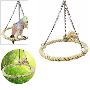 Assorted Budgie Toys - Keep Your Budgie Happy and Engaged