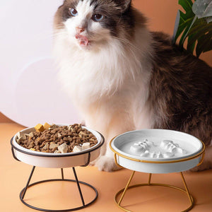 Ceramic Cat Bowl Slow Feeder Pet Food Tray for Cats and Dogs Non Slip Design