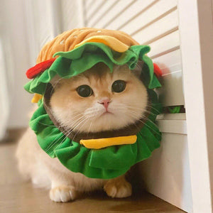 Pet Hamburger Headgear for Cats & Small Dogs