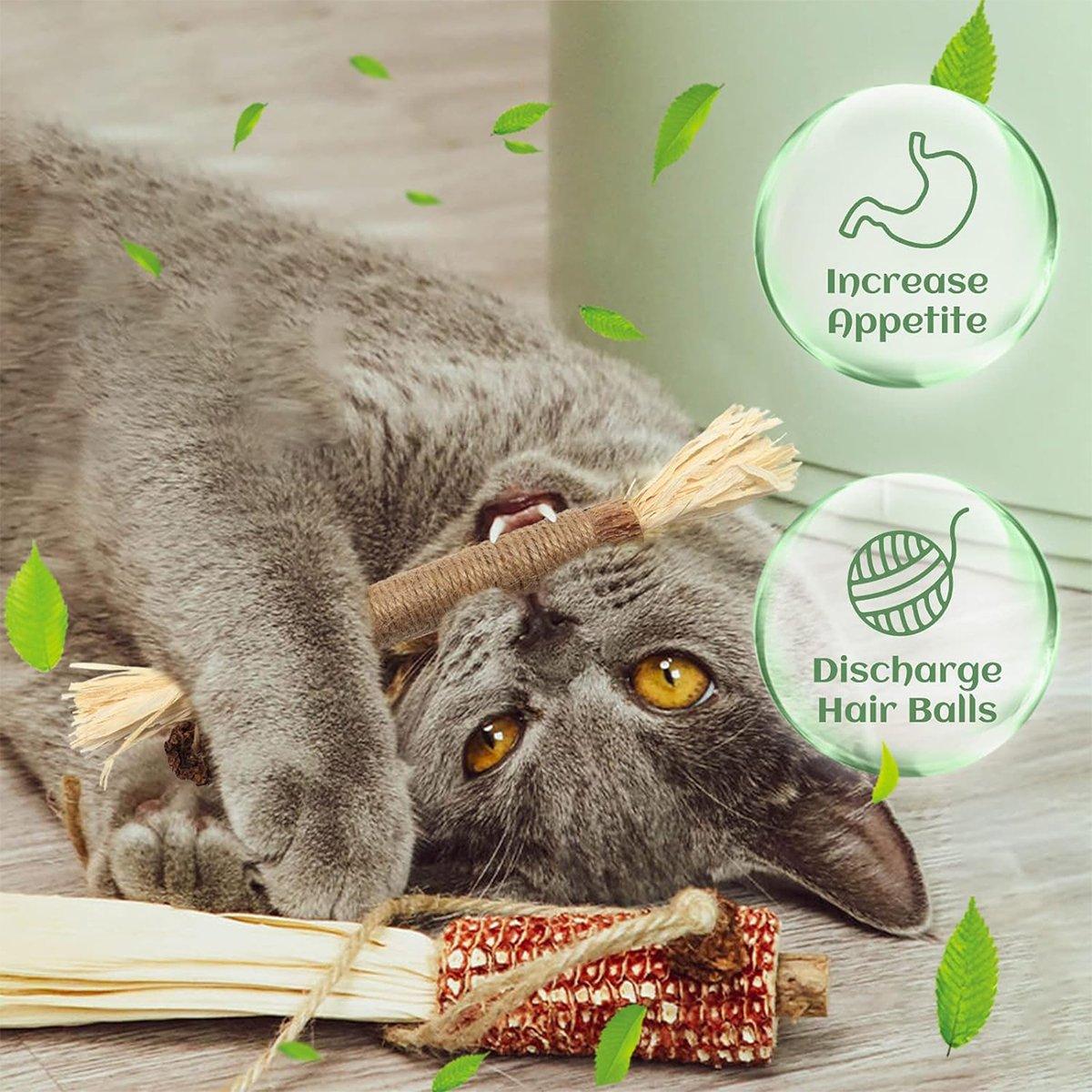 Cat Dental Health Silvervine Sticks Natural Chew Toy