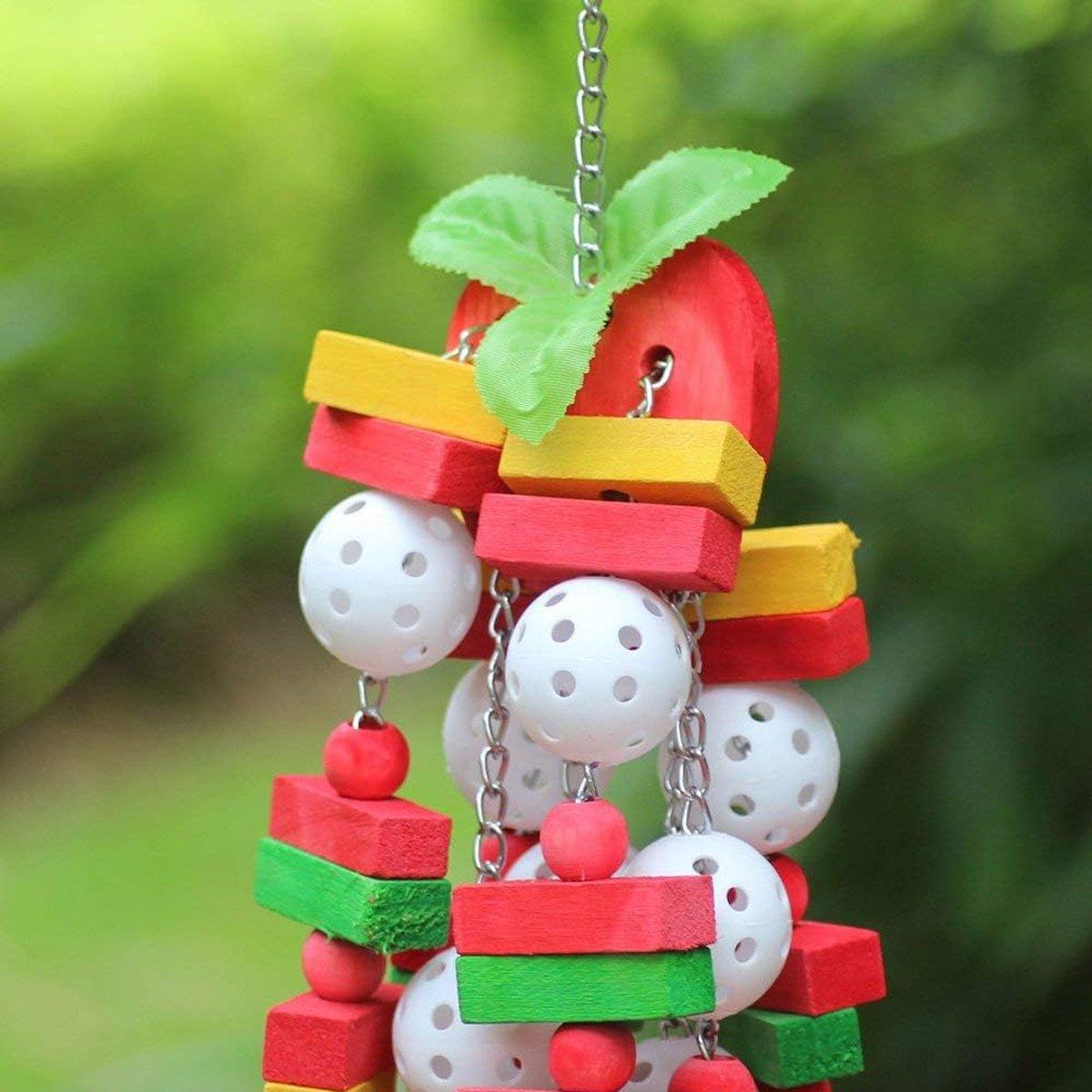 Interactive Colorful Wooden Parrot Toy Set