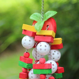 Interactive Colorful Wooden Parrot Toy Set