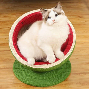 Watermelon Cat Scratching Pot Board Scratcher Toy for Cats Kitten