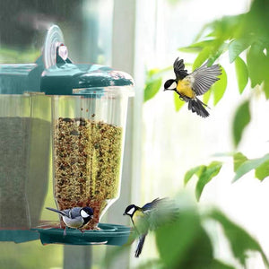 Clear Plastic Automatic Bird Feeder Suspended Suction Cup