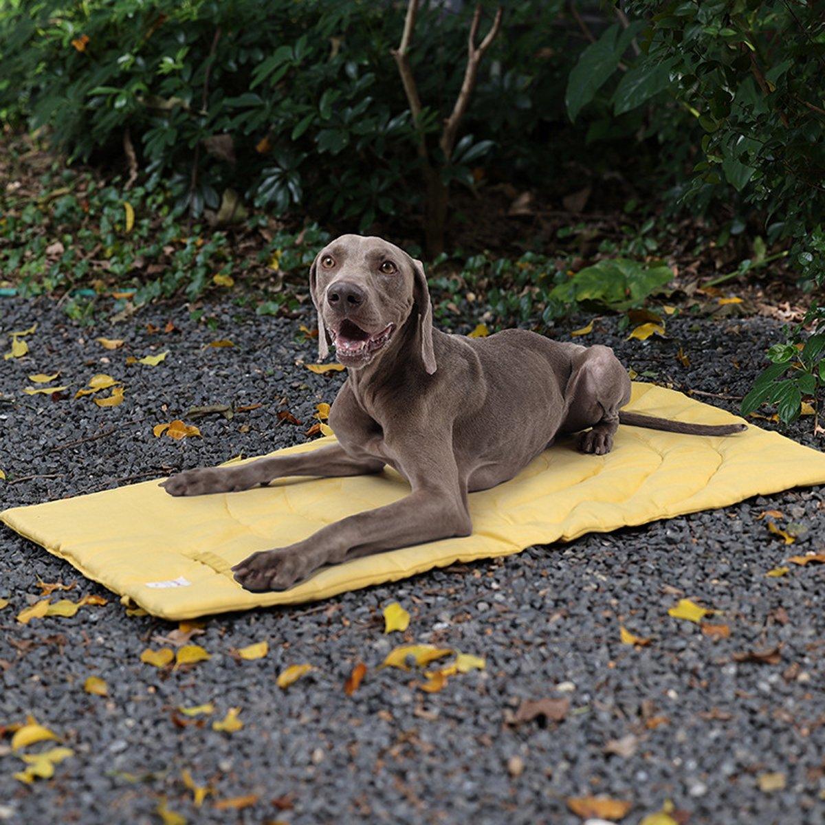 Pet Mat Soft & Comfortable Resting Space for Cats & Small Dogs