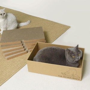 Cat Scratching Boards with Cardboard Box - 5 Pieces Set