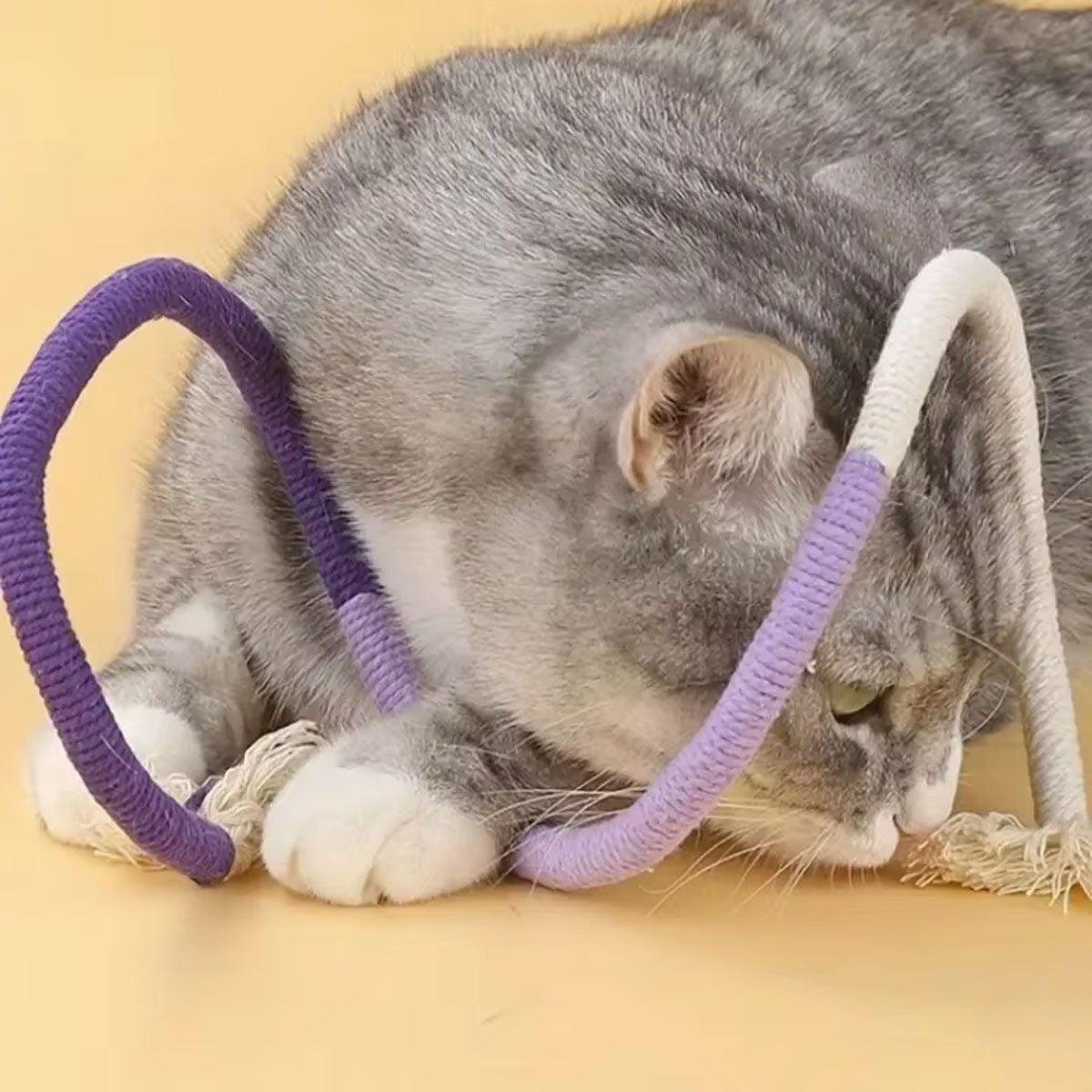 Cat Toy Creative Fun Teeth Molar Cleaning Cat Bite Rope