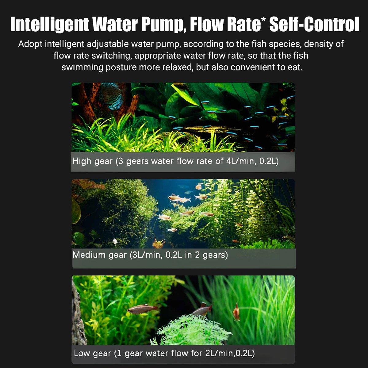 Smart Remote Control Fish Tank with Automatic Feeding for Living Room Aquarium