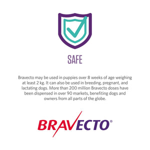 Bravecto 4.5-10kg Dog Flea & Tick Chew 2PK