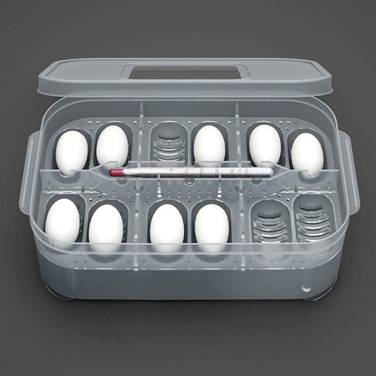 Reptile Pet Egg Incubator for Hatching High Quality Home Use Reptile Care