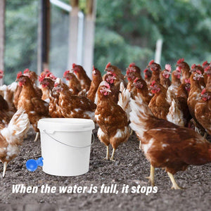 Leak-Proof Automatic Poultry Water Feeder Durable & Easy Install 6pcs