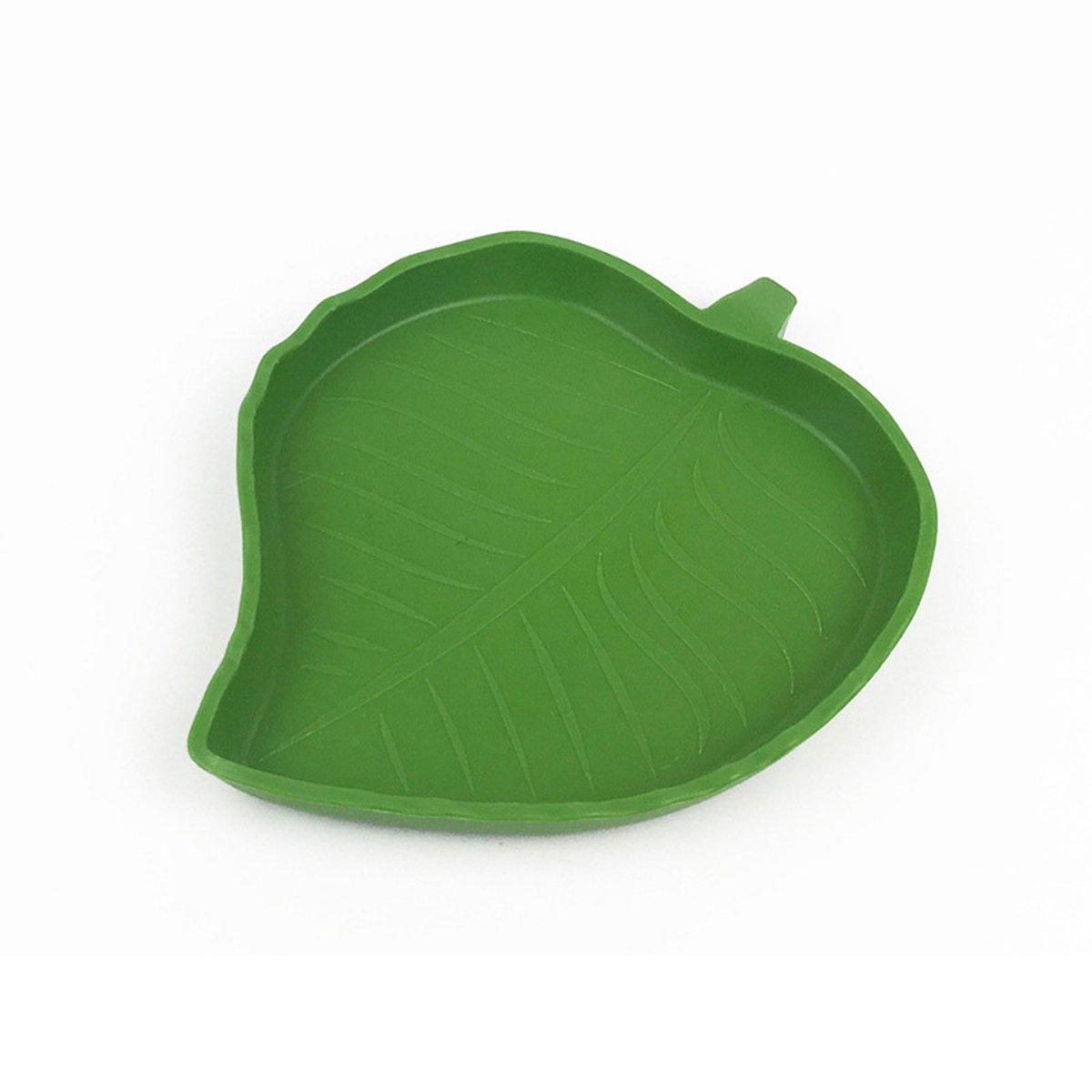 Reptile Feeding Dish Reptile Water Bowl