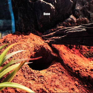 Natural Desert Bedding for Reptiles Safe & Dust-Free