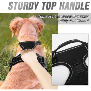 Adjustable No-Pull Dog Harness for Safe & Comfortable Walks S-XL