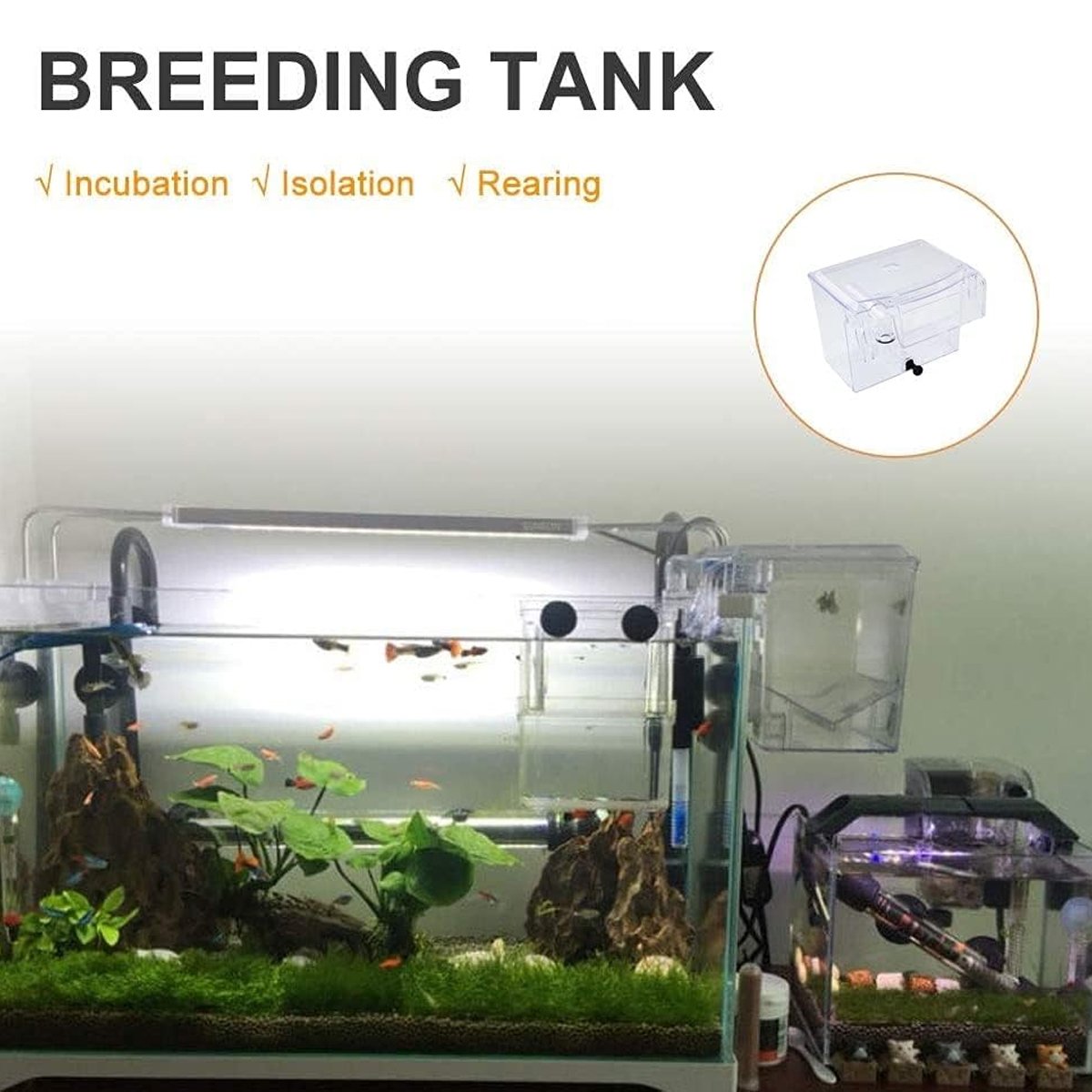 Durable Outboard Fish Isolation Box for Breeding and Protection