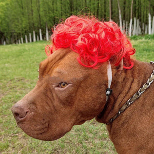 Stylish  Funny Pet Wig With Bangs Fun and Comfortable