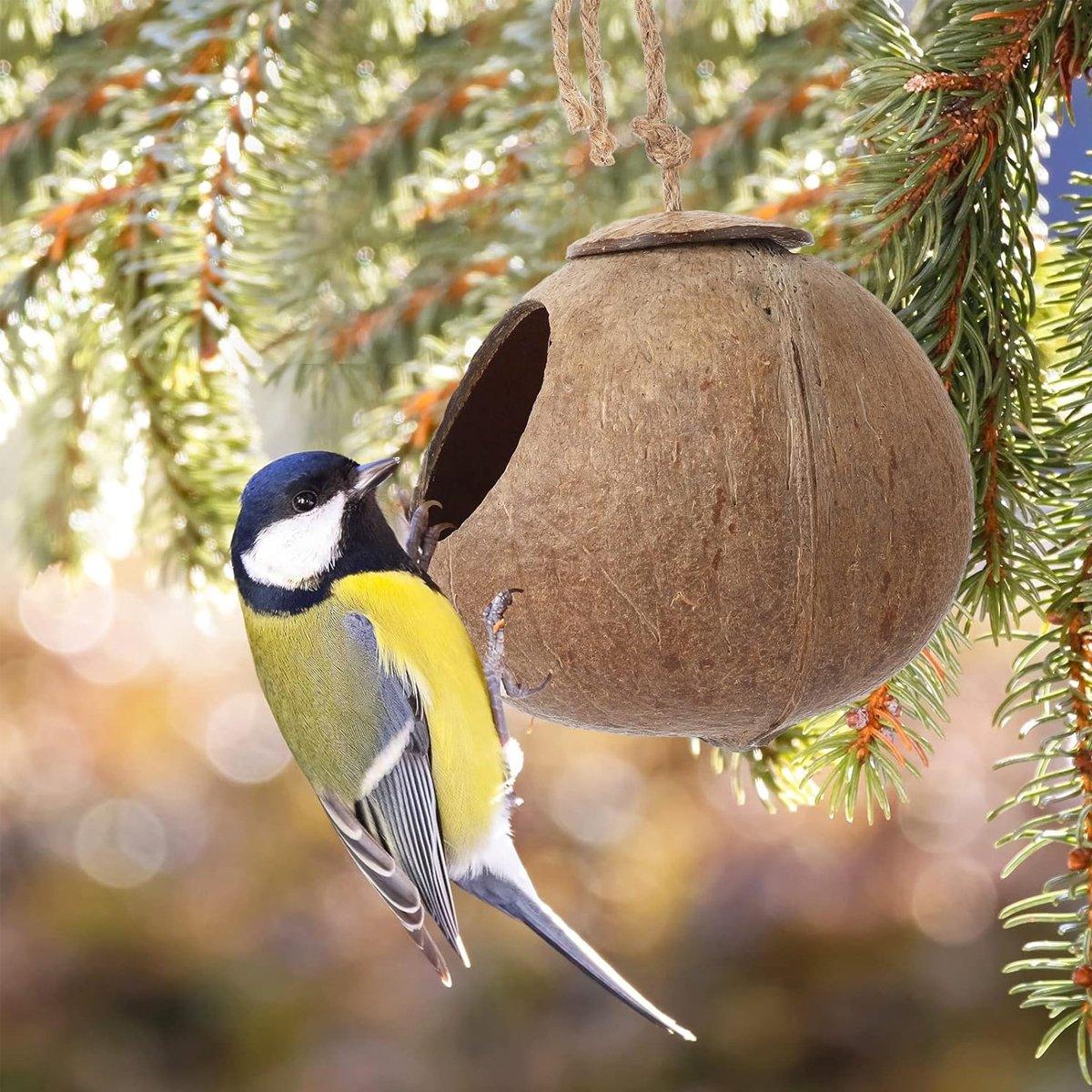 Natural Coconut Shell Bird Nest Safe & Cozy Bird House